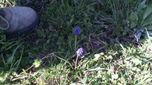 IMG_20150402_182528[1]