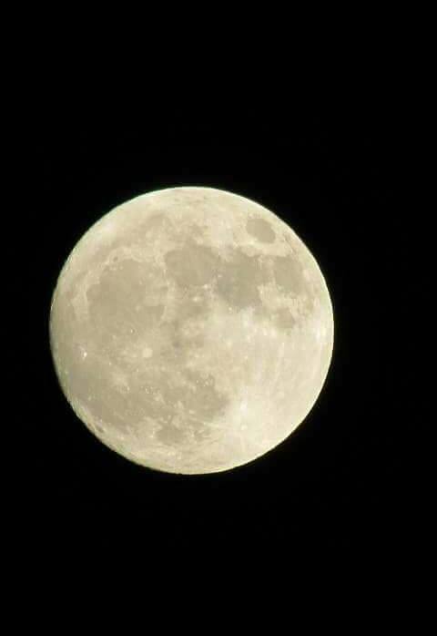 luna mari carmen valencia